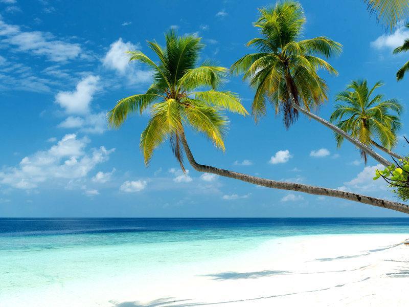 Mercure Maldives Kooddoo Adults-Only Resort - 35 Percent Off Return Domestic Transfers For Two Adults Until September Viligili Buitenkant foto